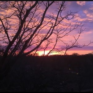 Meet your Posher, Carolyn